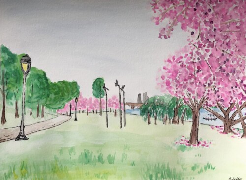 Schuylkill River Trail in Spring