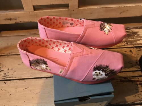 Custom Hedgehog Toms Shoes