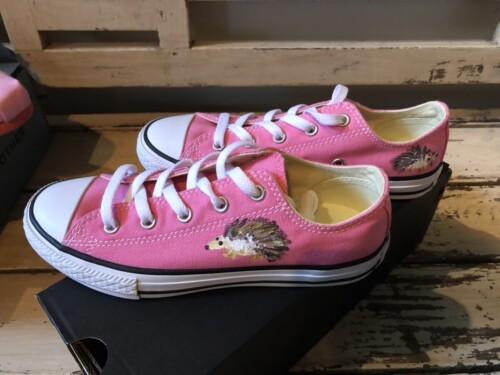 Hedgehog Custom Converse Chucks